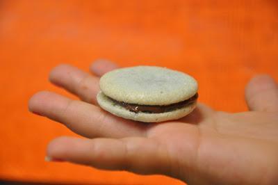 Mis Primeros Macarons