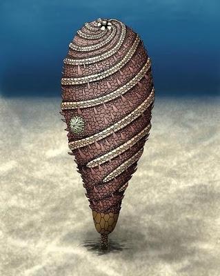 Descubren en Marruecos una Criatura de 520 Millones de Años