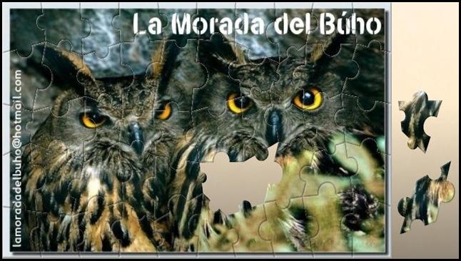 Puzzle Búho
