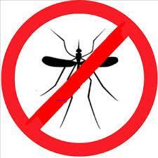 Como evitar  los Mosquitos en casa