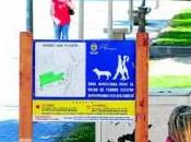 Espacio para perros