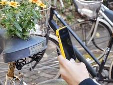 campaña para vida bicicletas abandonadas