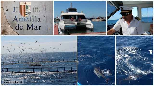 Nadar con atunes. Maridaje de atún y cerveza
