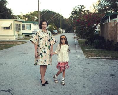 mark shearwood fotos