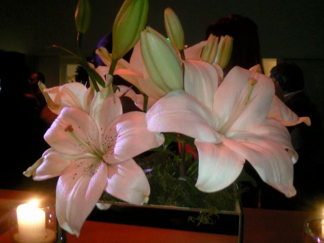 EVENTEANDO CON LEONORA.