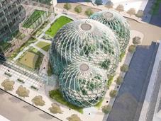 nuevas oficinas Amazon Seattle dentro jardín botánico