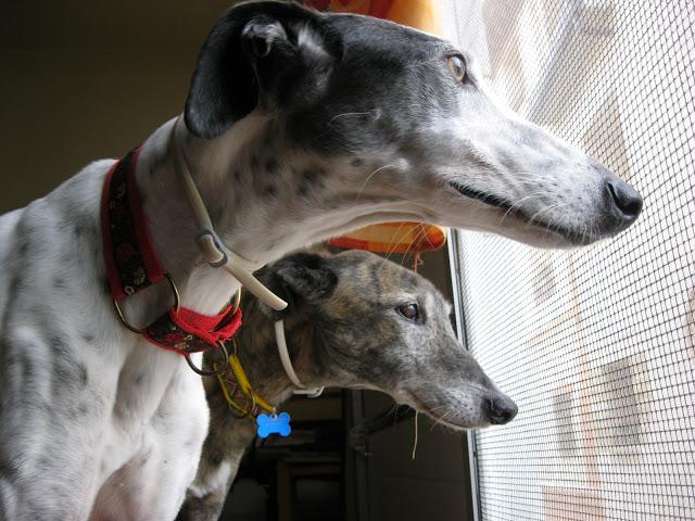 Por estar senil, no soy un infeliz....