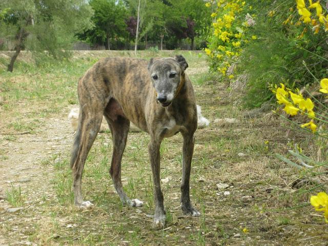 Por estar senil, no soy un infeliz....