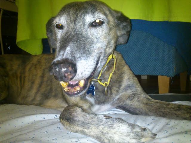 Por estar senil, no soy un infeliz....