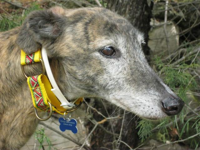 Por estar senil, no soy un infeliz....