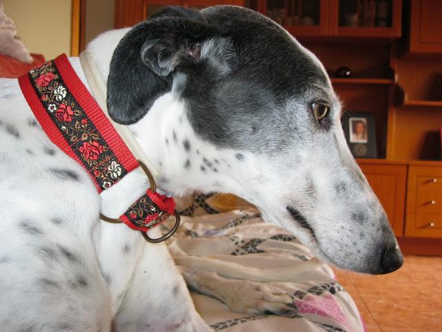 Por estar senil, no soy un infeliz....