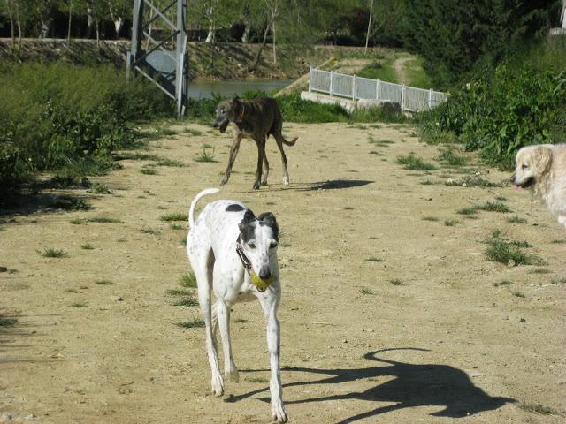 Por estar senil, no soy un infeliz....