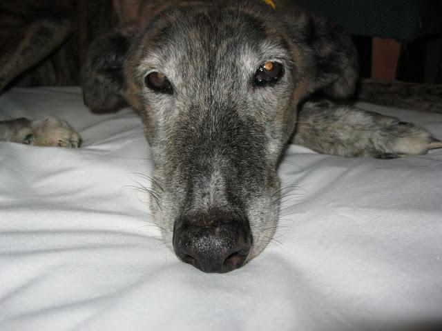 Por estar senil, no soy un infeliz....