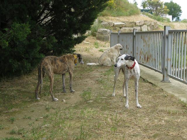 Por estar senil, no soy un infeliz.... Paperblog