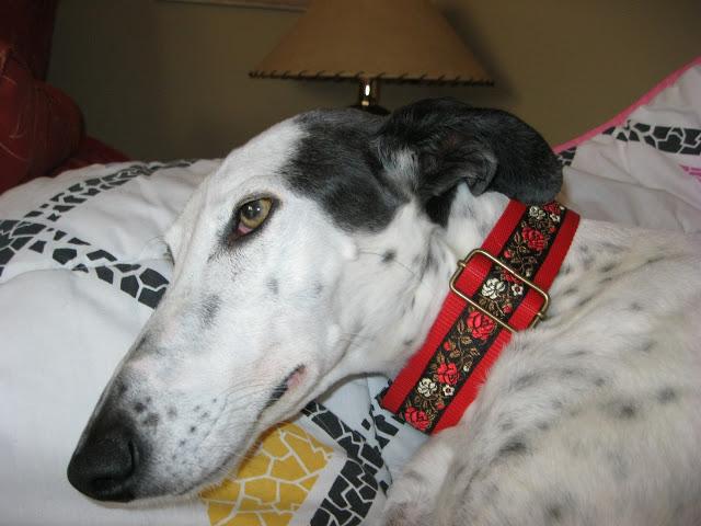 Por estar senil, no soy un infeliz....