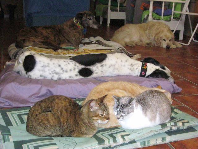 Por estar senil, no soy un infeliz....