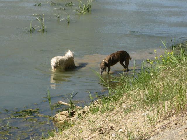 Por estar senil, no soy un infeliz....