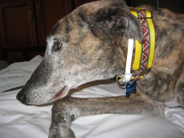 Por estar senil, no soy un infeliz....