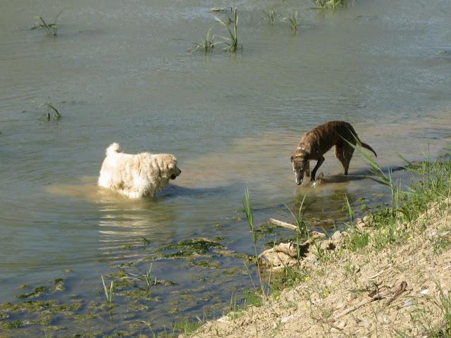 Por estar senil, no soy un infeliz....