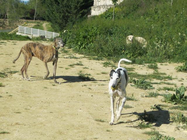 Por estar senil, no soy un infeliz....