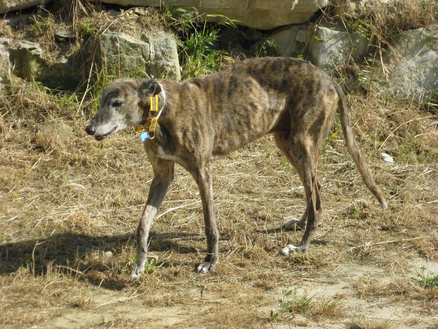 Por estar senil, no soy un infeliz....