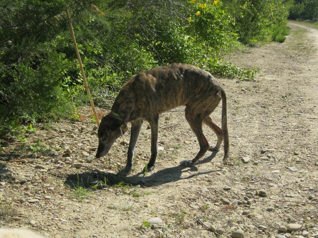 Por estar senil, no soy un infeliz....