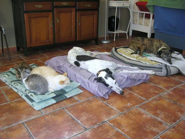 Por estar senil, no soy un infeliz....