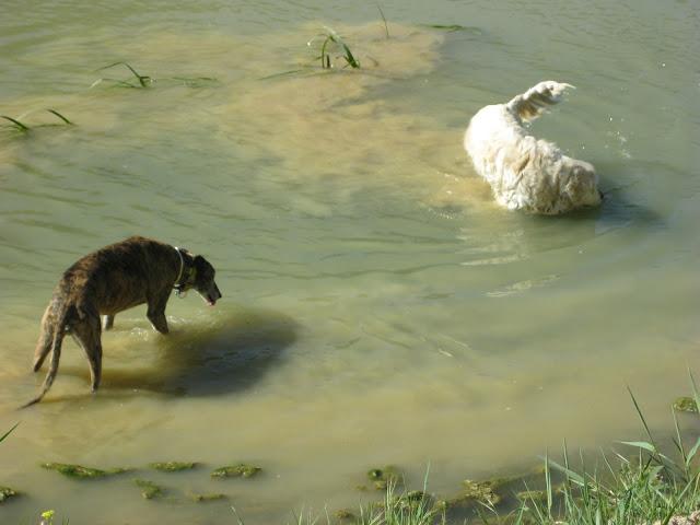 Por estar senil, no soy un infeliz....