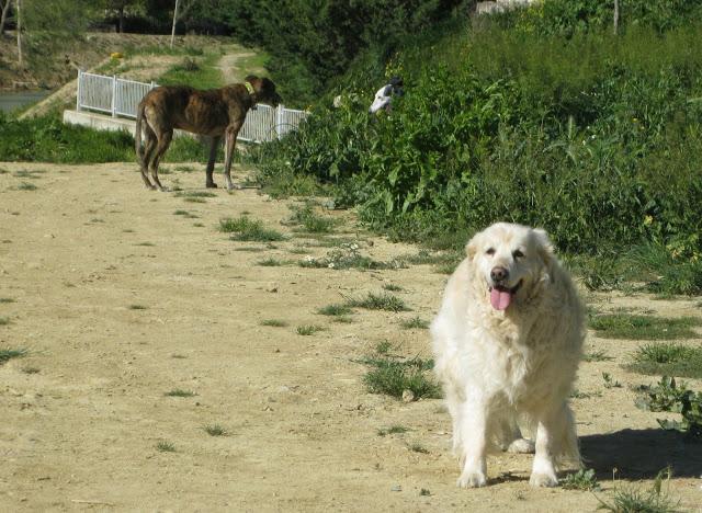 Por estar senil, no soy un infeliz....