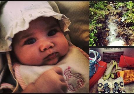 Snapshots of the week 6