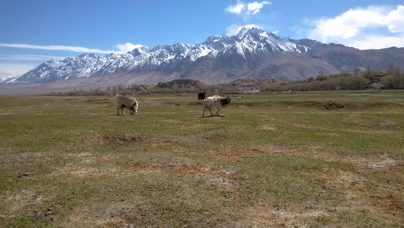 Viaje a Xinjiang: la Ruta de la Seda china