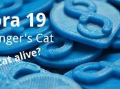 Fedora “Schrödinger’s Cat”