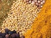 Mostaza, curiosidades gastronómicas