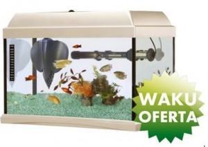 El regalo de fin de curso más original: Una pecera El regalo de fin de curso más original: Una pecera