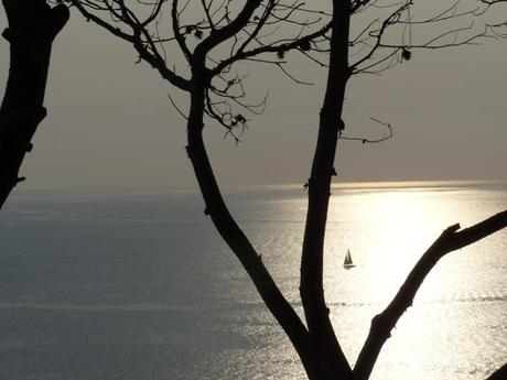 Nuestro Verano Brugal