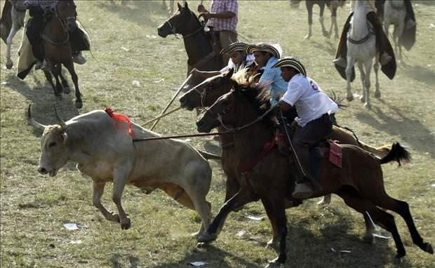 Corralejas es tortura