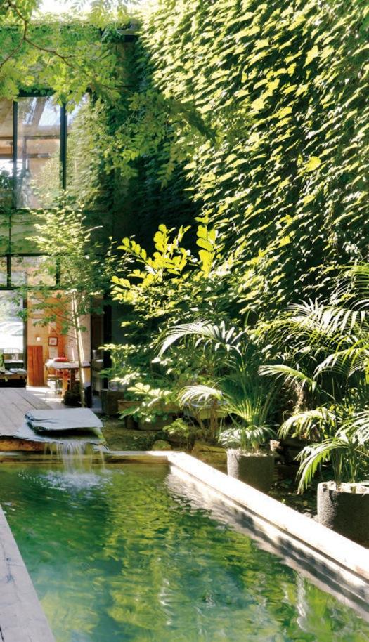 Un jardín-oasis urbano en Montréal - Paperblog