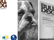 BULLDOG, cosmética revolución Reino Unido