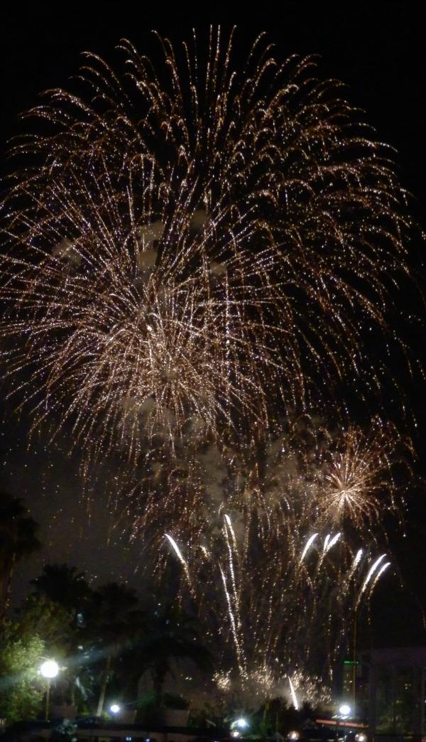 Cena de Gala Aodi 2013 ......