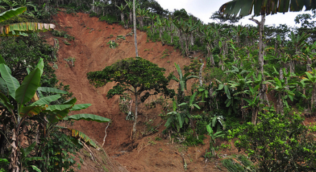Sobreviviendo un derrumbe de hábitos derrumbe