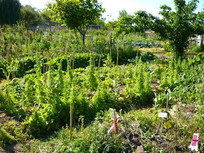 Pueblitos gastronómicos: Tomás Jofré y Carlos Keen Pueblitos gastronómicos: Tomás Jofré y Carlos Keen