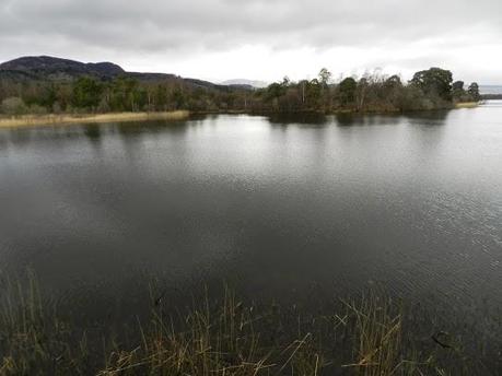 Parque Nacional de Cairngorms y su fauna