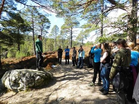 Parque Nacional de Cairngorms y su fauna