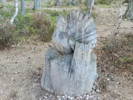 Parque Nacional de Cairngorms y su fauna