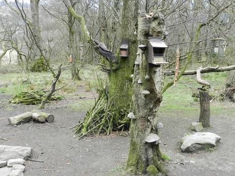 Parque Nacional de Cairngorms y su fauna