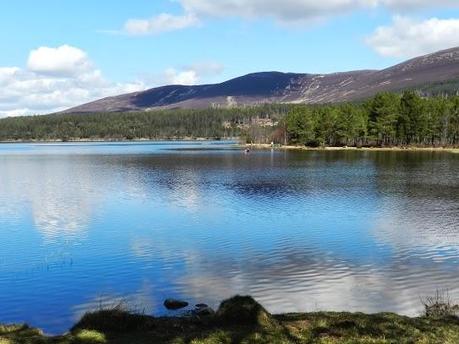 Parque Nacional de Cairngorms y su fauna