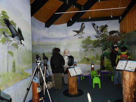 Parque Nacional de Cairngorms y su fauna