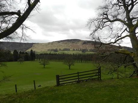 Parque Nacional de Cairngorms y su fauna