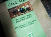 Infusiones, grandes aliadas para #operaciónpibón