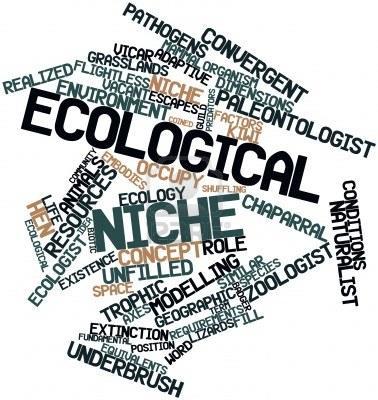 El nicho como concepto abstracto